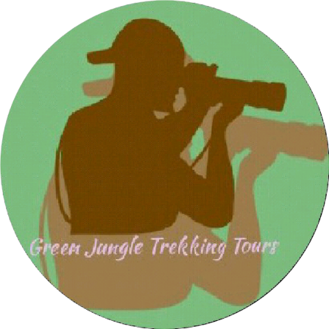 Green Jungle Trekking Tours- Cambodia